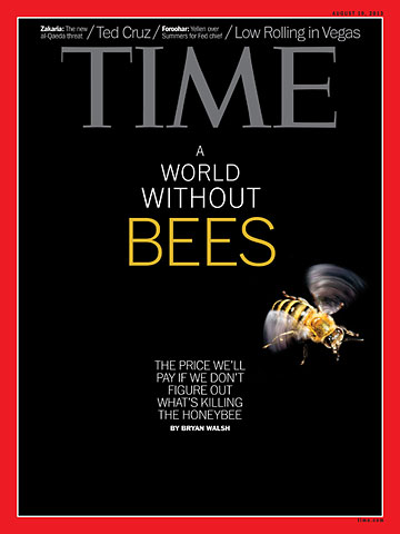 copertina TIME