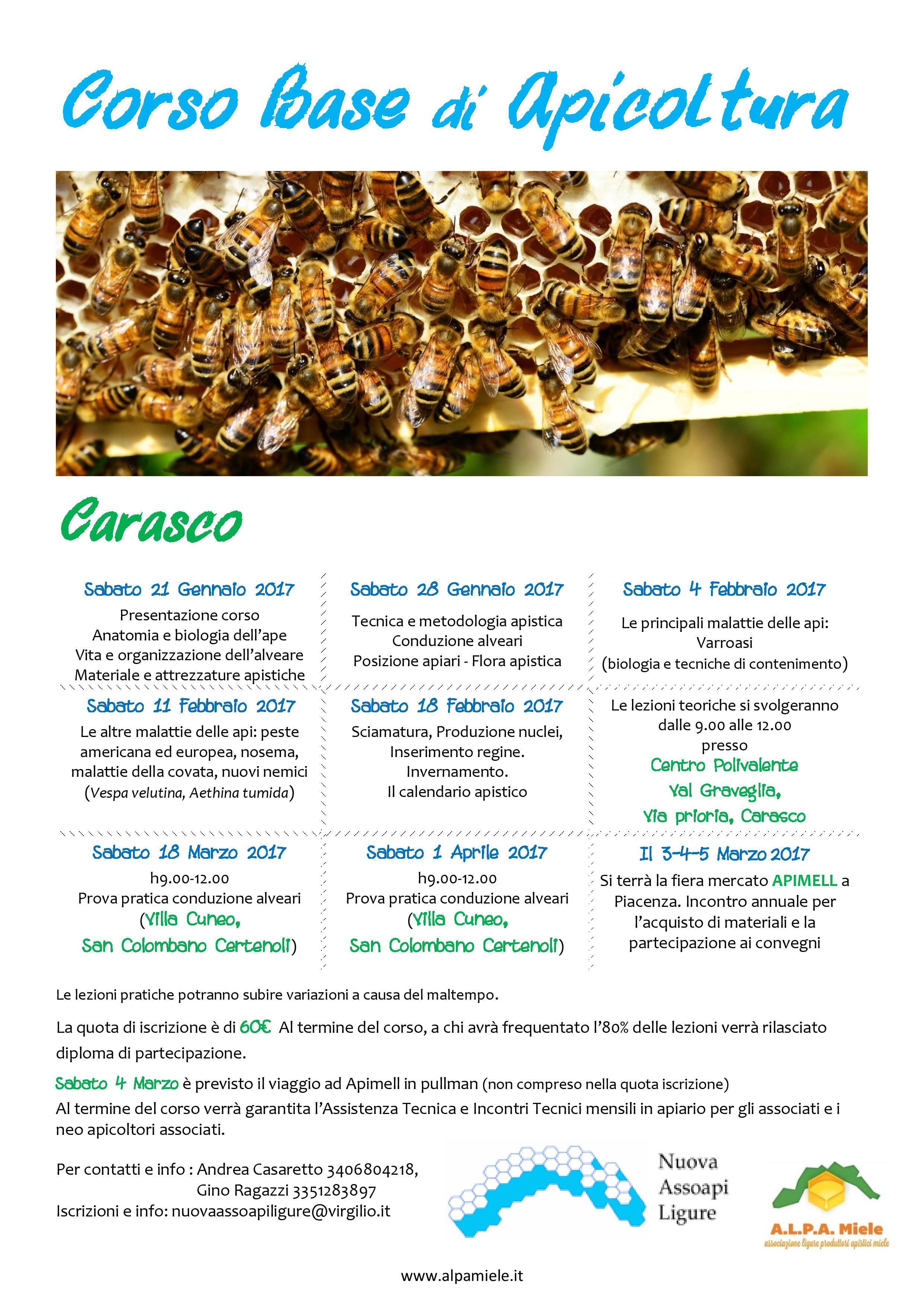 base carasco