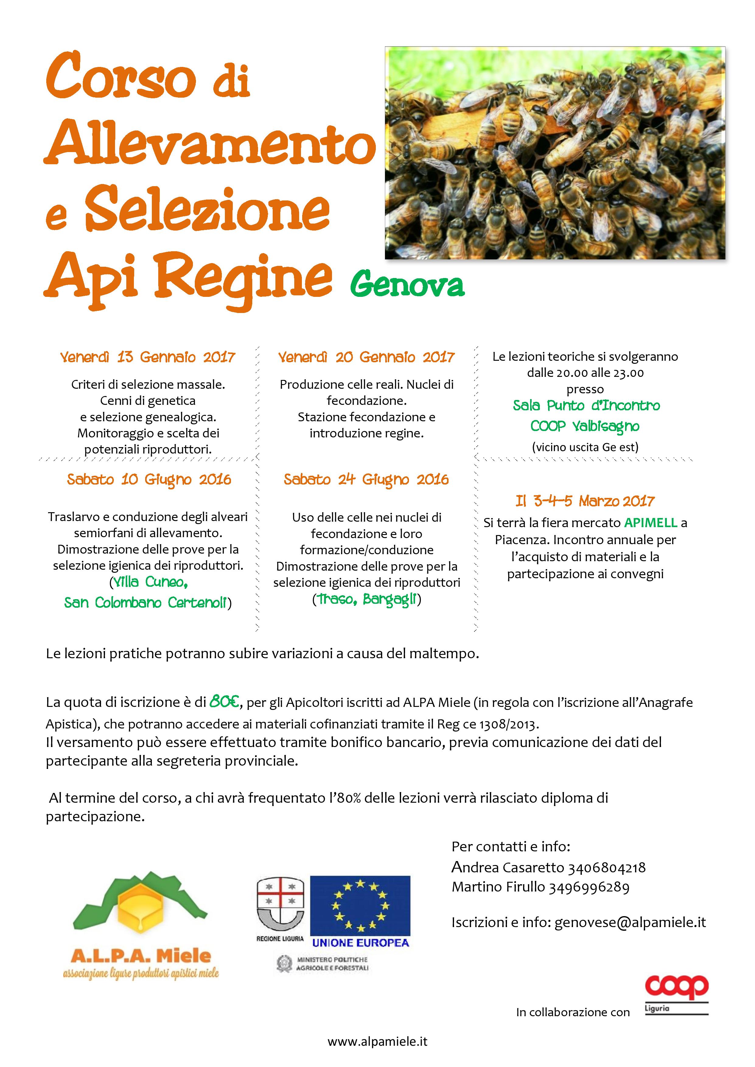 corso regine genova