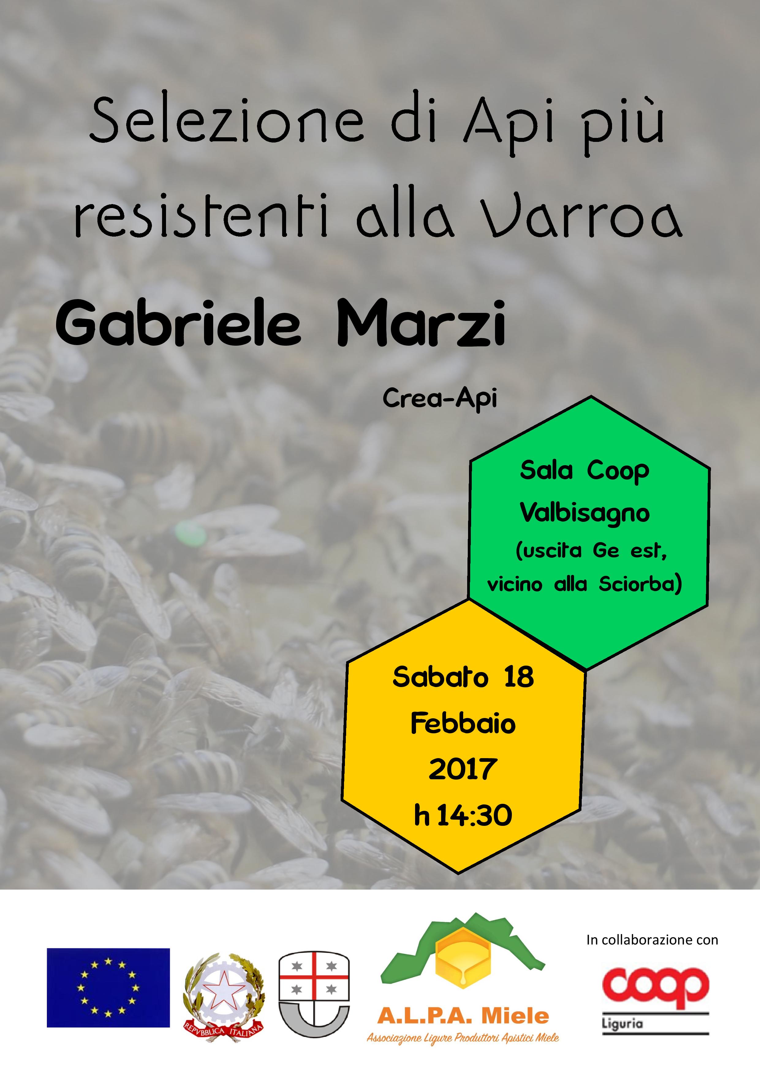 marzi selezione