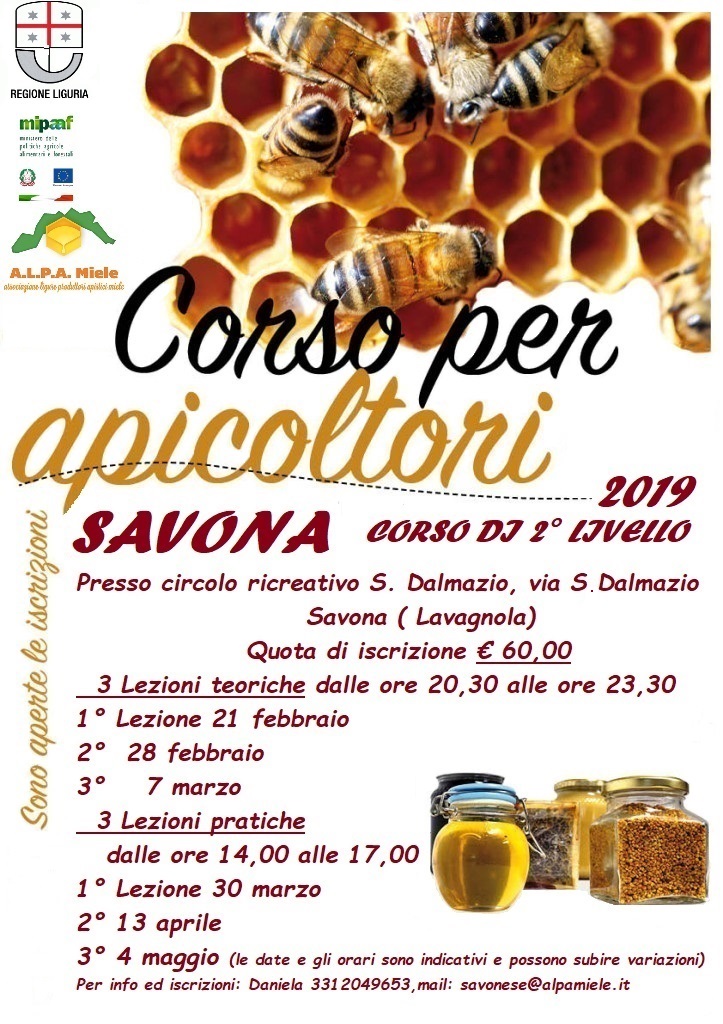 corso ava SV