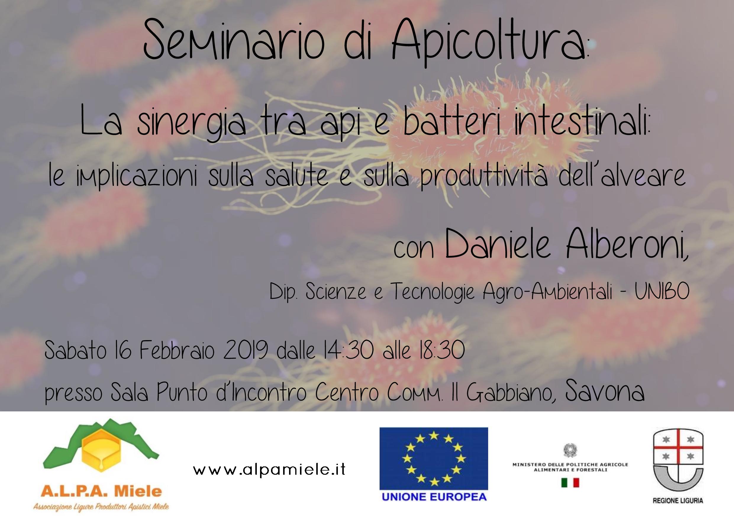 seminario alberoni SV
