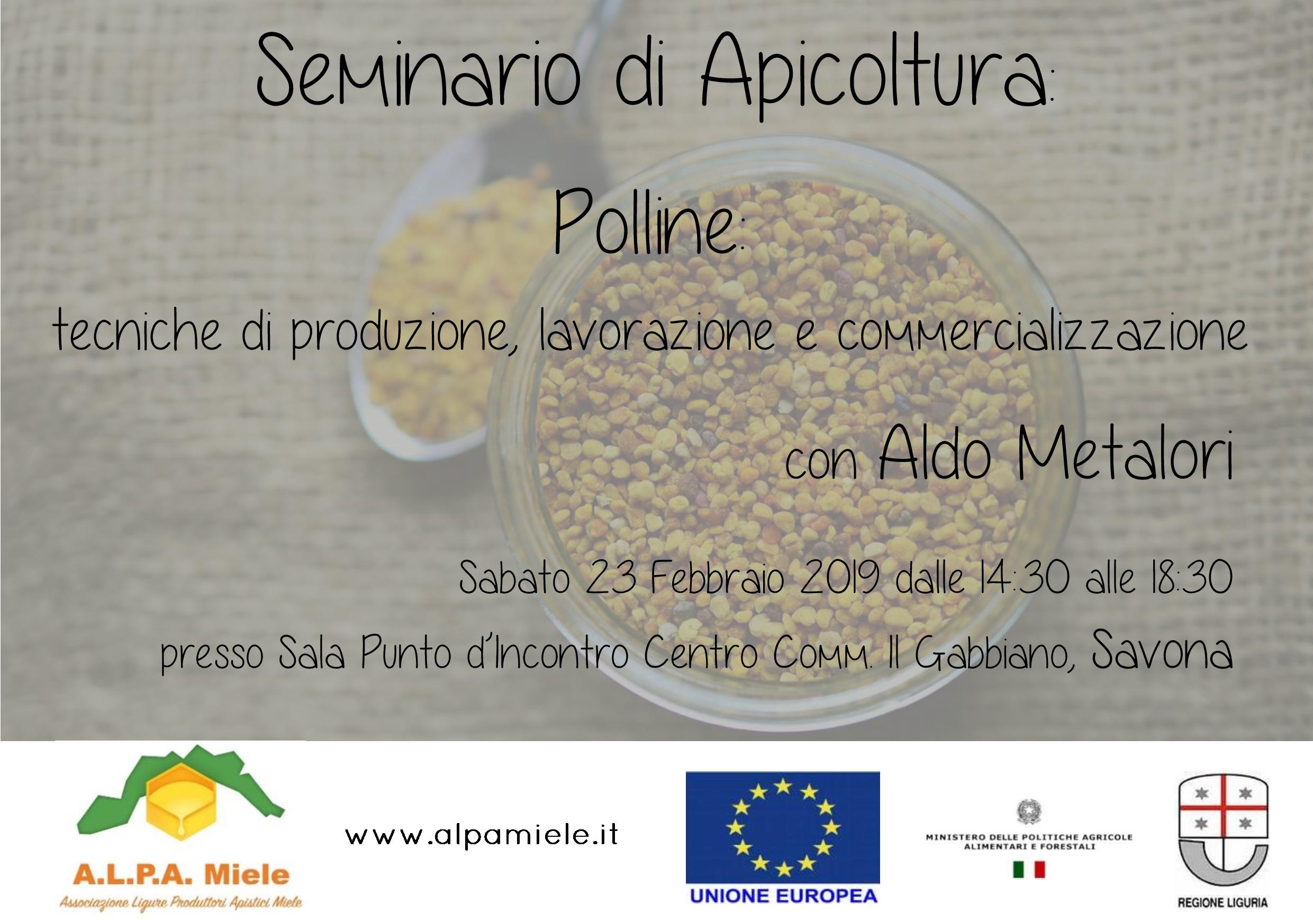 seminario polline savona