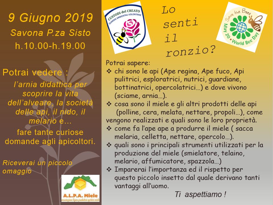 9 giugno sv