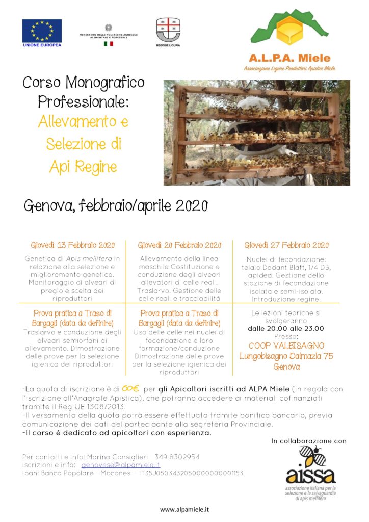 Locandina Corso Monografico Professionale: Allevamento e selezione di Api Regine
